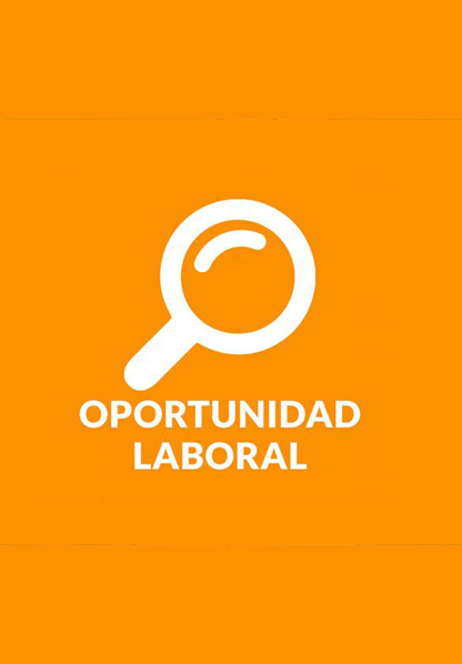 Consultoría. Guatemala